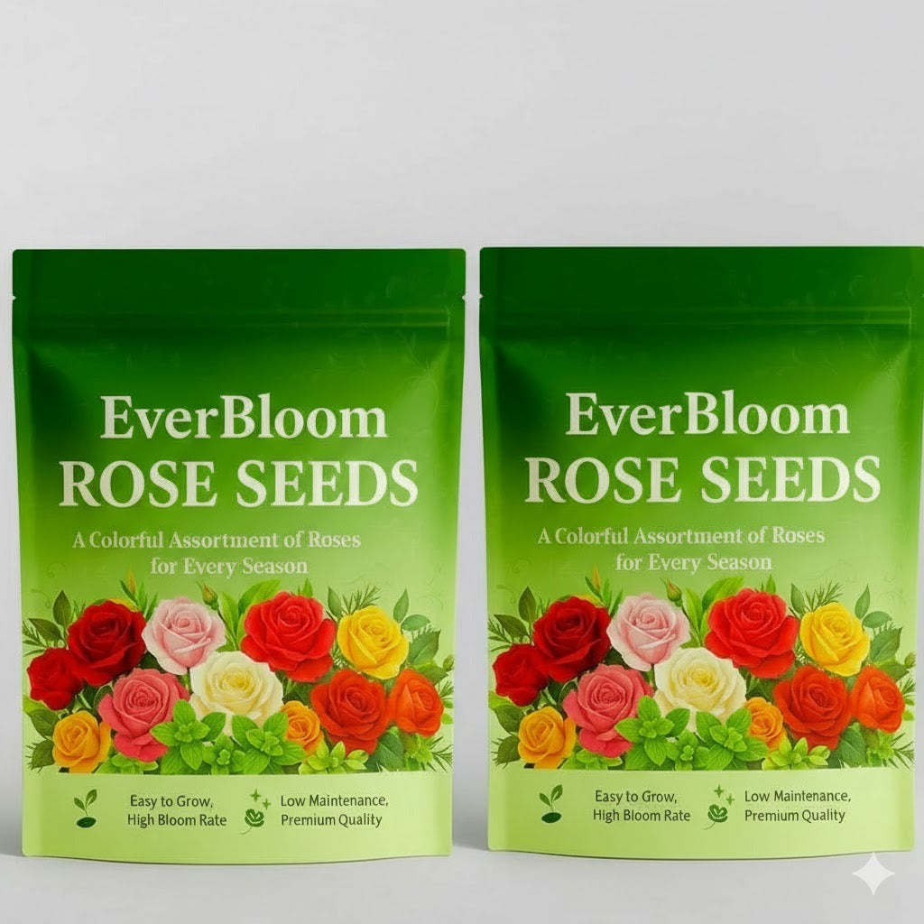 Climbing Rose Seeds (60+ Multicolour seeds) – SUVIDHA.ONLINE